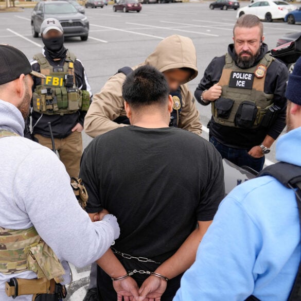 Ice arrests alleged ms-13 gang member in baltimore operation - photo licensed by shore news network.
