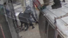Caught on camera - armed robbery suspects flee scene in northeast d. C