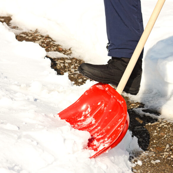 Warm monday leads to possible snow wednesday afternoon in new jersey - photo licensed by shore news network.