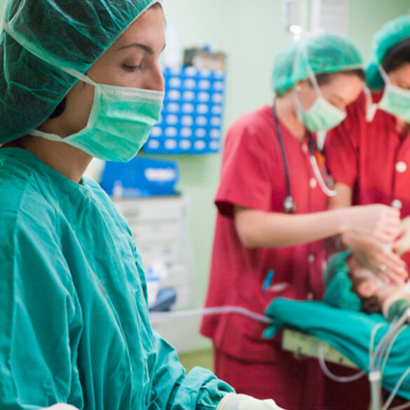 New jersey vows to defy trump order restricting gender-affirming care for children - photo licensed by shore news network.