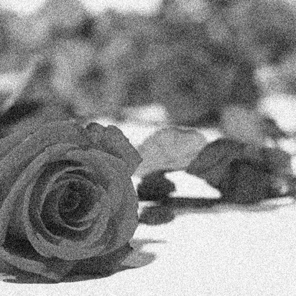 New rochelle marks 48th anniversary of deadly st. Valentine’s day massacre - photo licensed by shore news network.