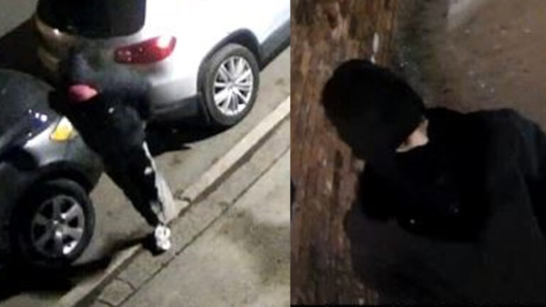 Smash and grab burglars steal large haul of apple devices from north plainfield store - photo licensed by shore news network.