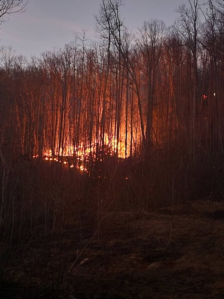 Fire on Forbes Lane fully contained, officials say
