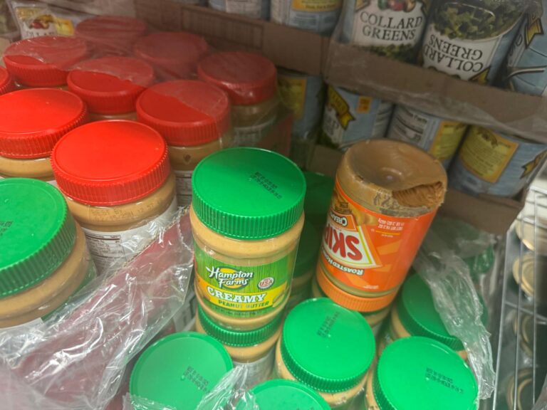 Jackson township council says food pantry rat infestation, health issues at police hq must be fixed - photo licensed by shore news network.