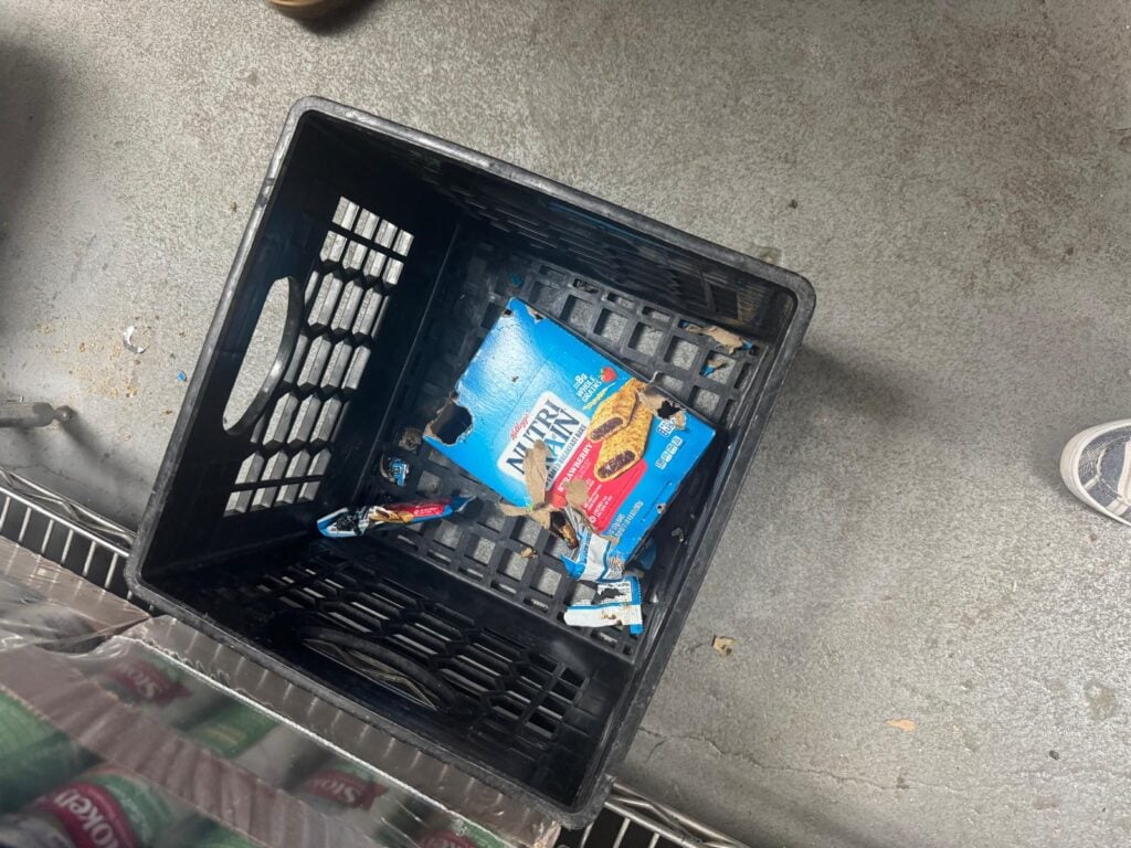 Jackson Township Council Says Food Pantry Rat Infestation, Health Issues at Police HQ Must Be Fixed Jackson Township Council Says Food Pantry Rat Infestation, Health Issues at Police HQ Must Be Fixed
