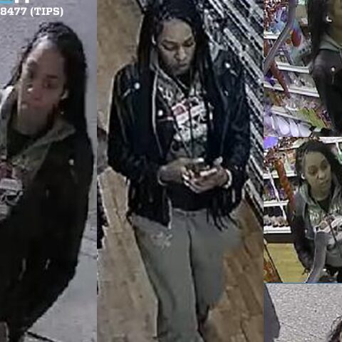 Woman assaulted in sheepshead bay, suspect sought - photo licensed by shore news network.