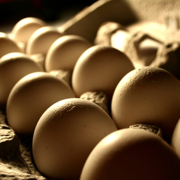 Egg prices drop below $3, bringing relief to new jersey and beyond - photo licensed by shore news network.