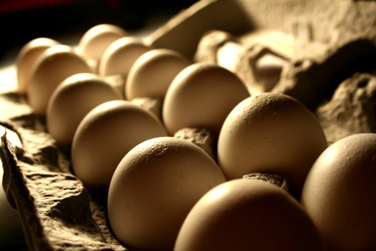 Egg prices drop below $3, bringing relief to new jersey and beyond - photo licensed by shore news network.