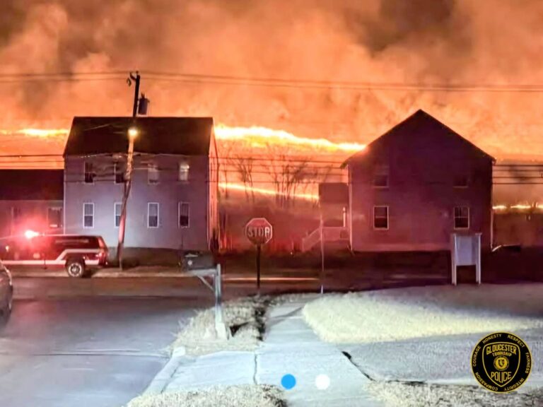 Massive brush fire burns 40 acres in gloucester township, brought under control - photo licensed by shore news network.