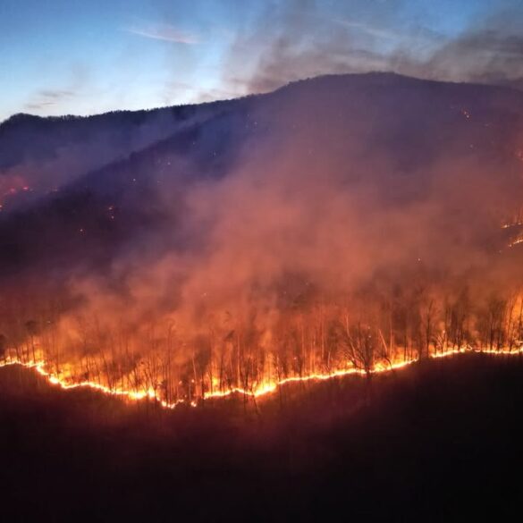 Blaze forces mandatory evacuation in polk county’s piney gate area - photo licensed by shore news network.