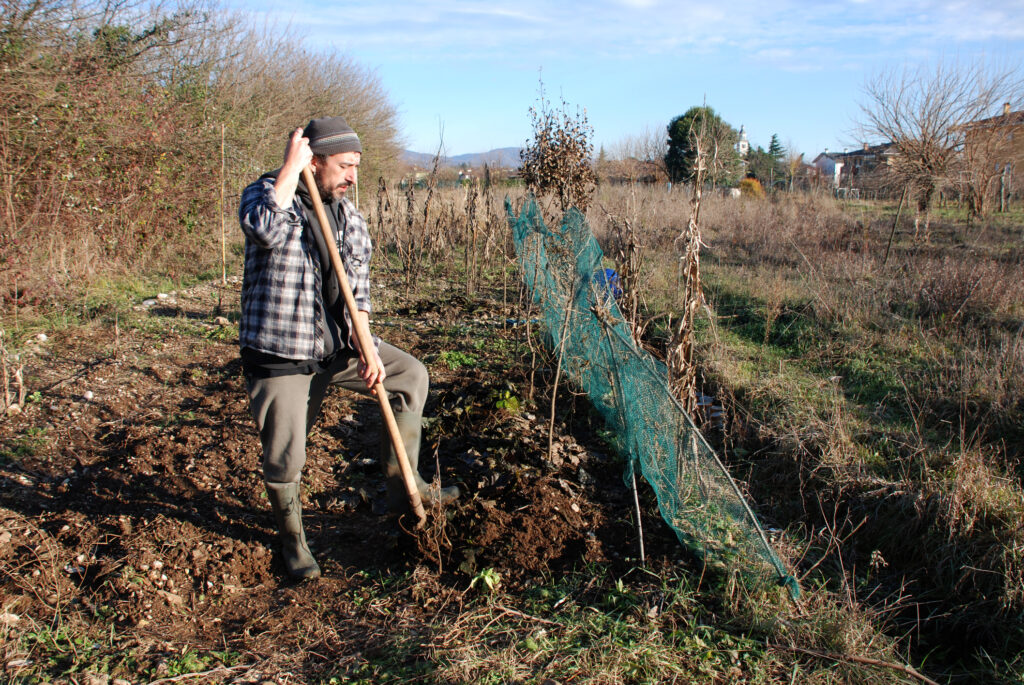 It’s the End of March: Time to Get Your New Jersey Garden Ready!