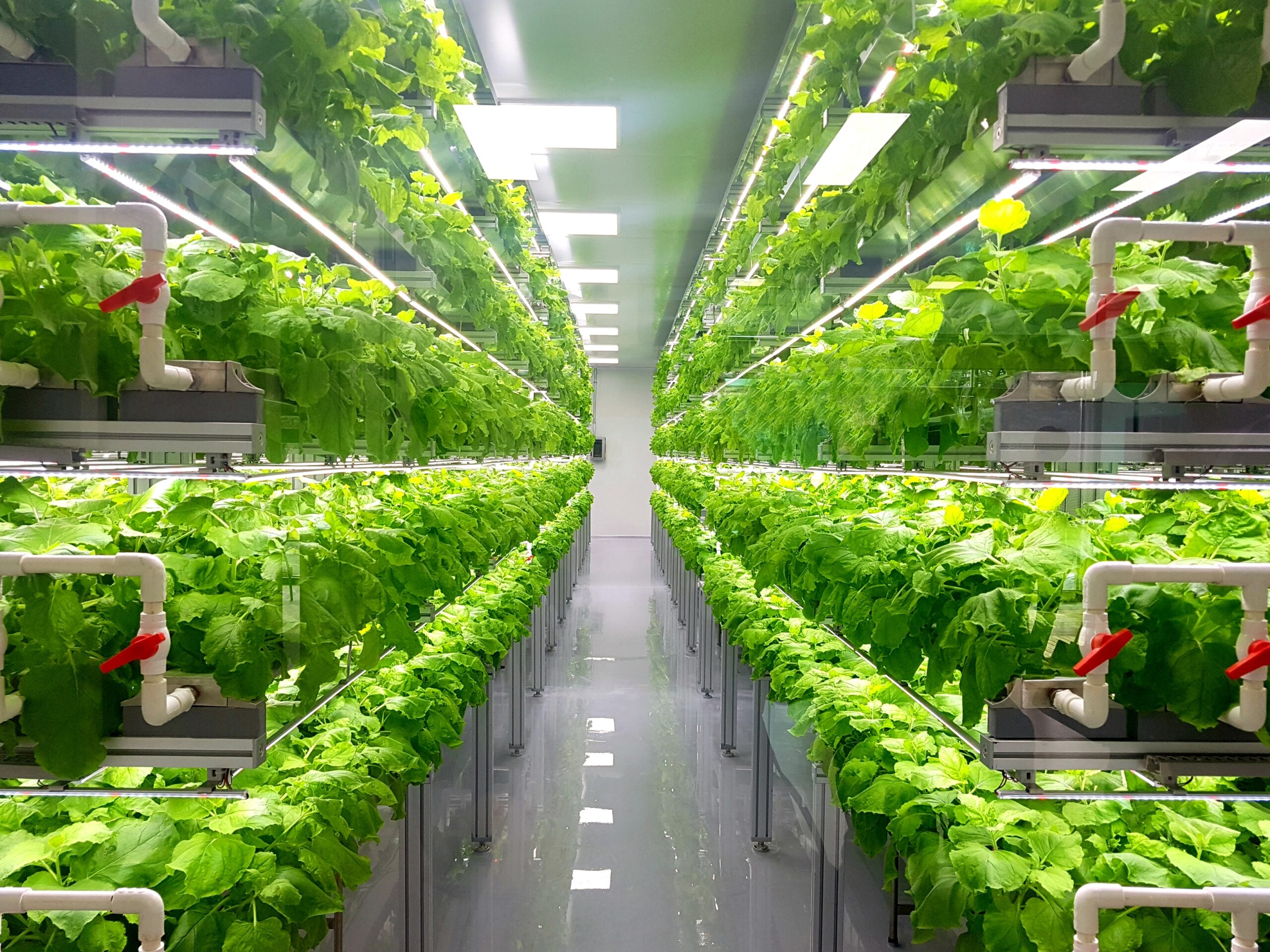 Oasthouse Ventures to invest $104.8 million in sustainable indoor farming in Virginia