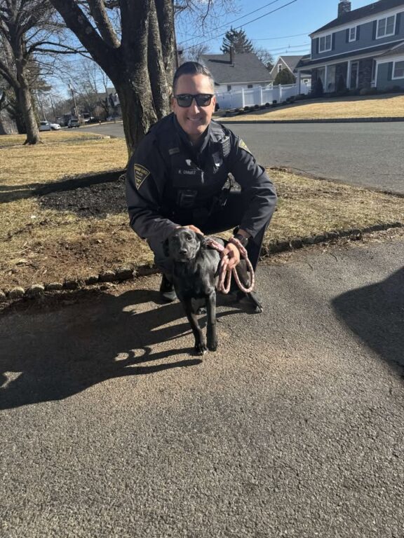 Puppy up for adoption: Cranford police introduce Harlow for ‘Woof Wednesday’