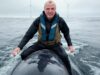 Deepfake AI Example: Phil Murphy riding a dead whale through an offshore wind farm. AI Generated / Grok