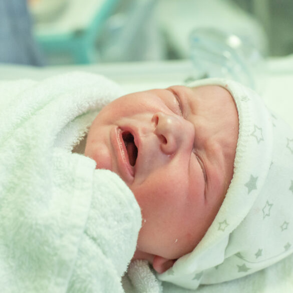 Congressman says new jersey hospitals asking parents to gender identify newborn babies "absolutely insane" - photo licensed by shore news network.