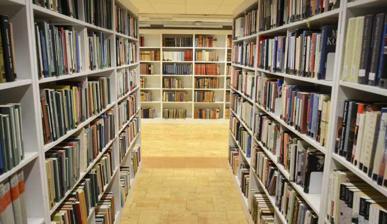 New jersey public libraries are now giving out ice evasion cards, candidate says he will stop it - photo licensed by shore news network.