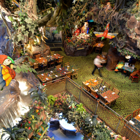 Rainforest cafe closes iconic edison location, leaving new jersey with one remaining outpost - photo licensed by shore news network.