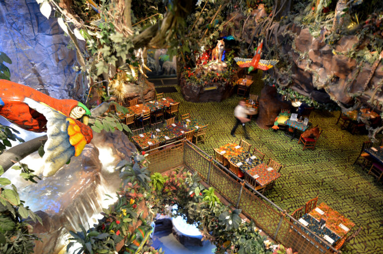 Rainforest cafe closes iconic edison location, leaving new jersey with one remaining outpost - photo licensed by shore news network.