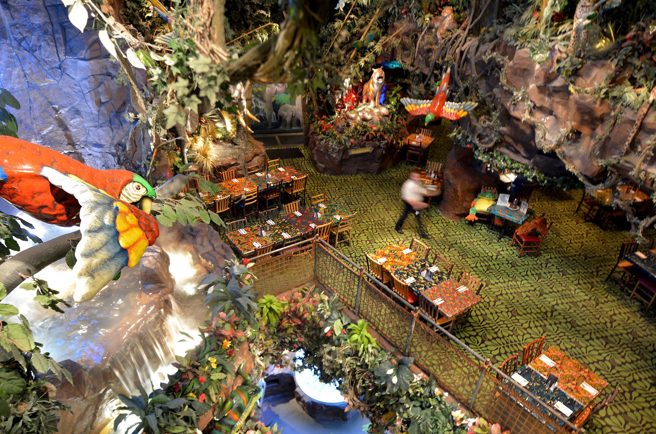 Rainforest Cafe Closes Iconic Edison Location, Leaving New Jersey with One Remaining Outpost