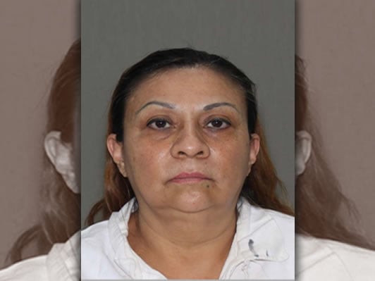 ICE deports Mexican woman with multiple DWI and theft convictions