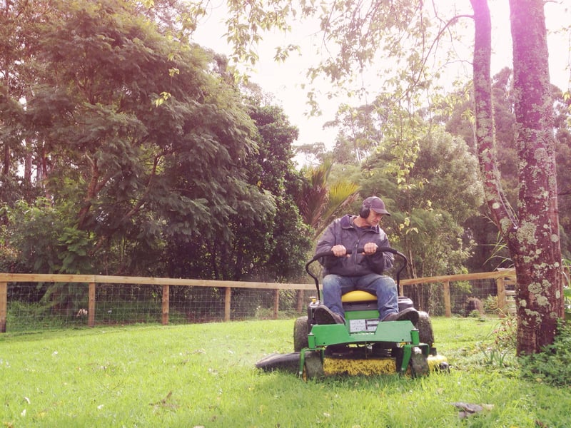 New Jersey Lawmakers Push for Complete Ban on Gas Powered Lawn Mowers