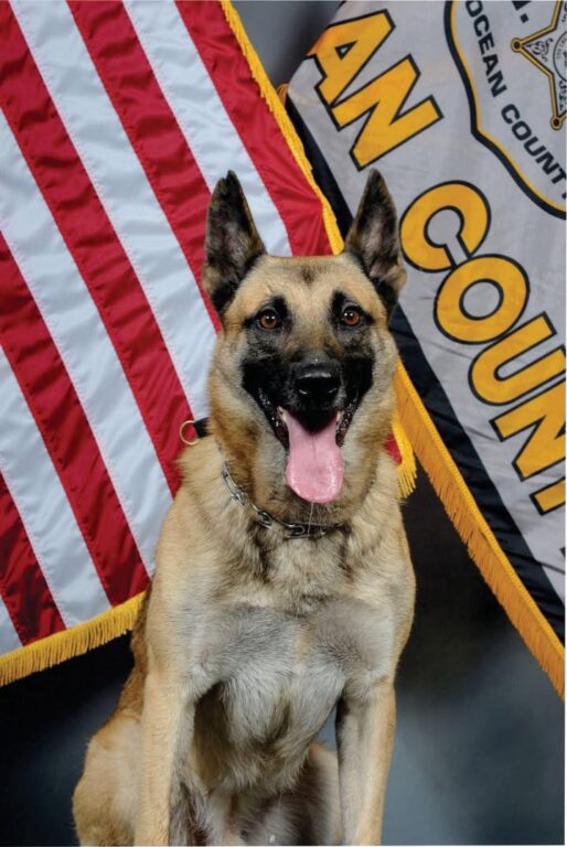Seaside Park Police mourn loss of K9 Jax after 9 years of service