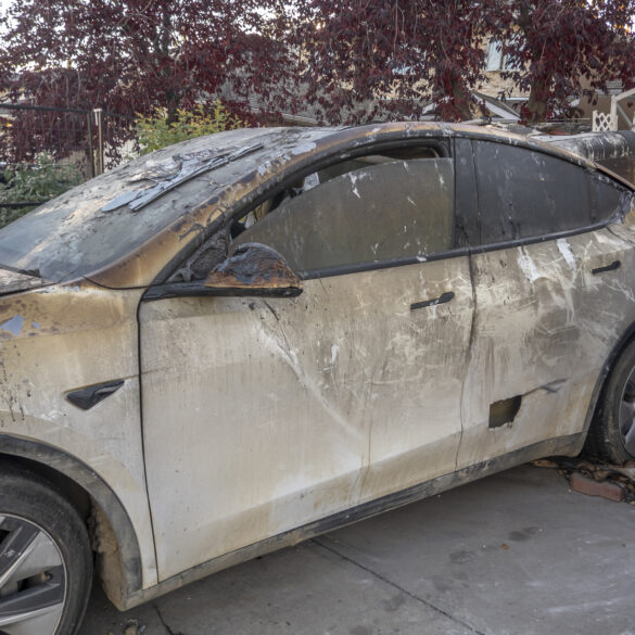 Radical left planning "tesla takedown" at jersey shore dealership - photo licensed by shore news network.