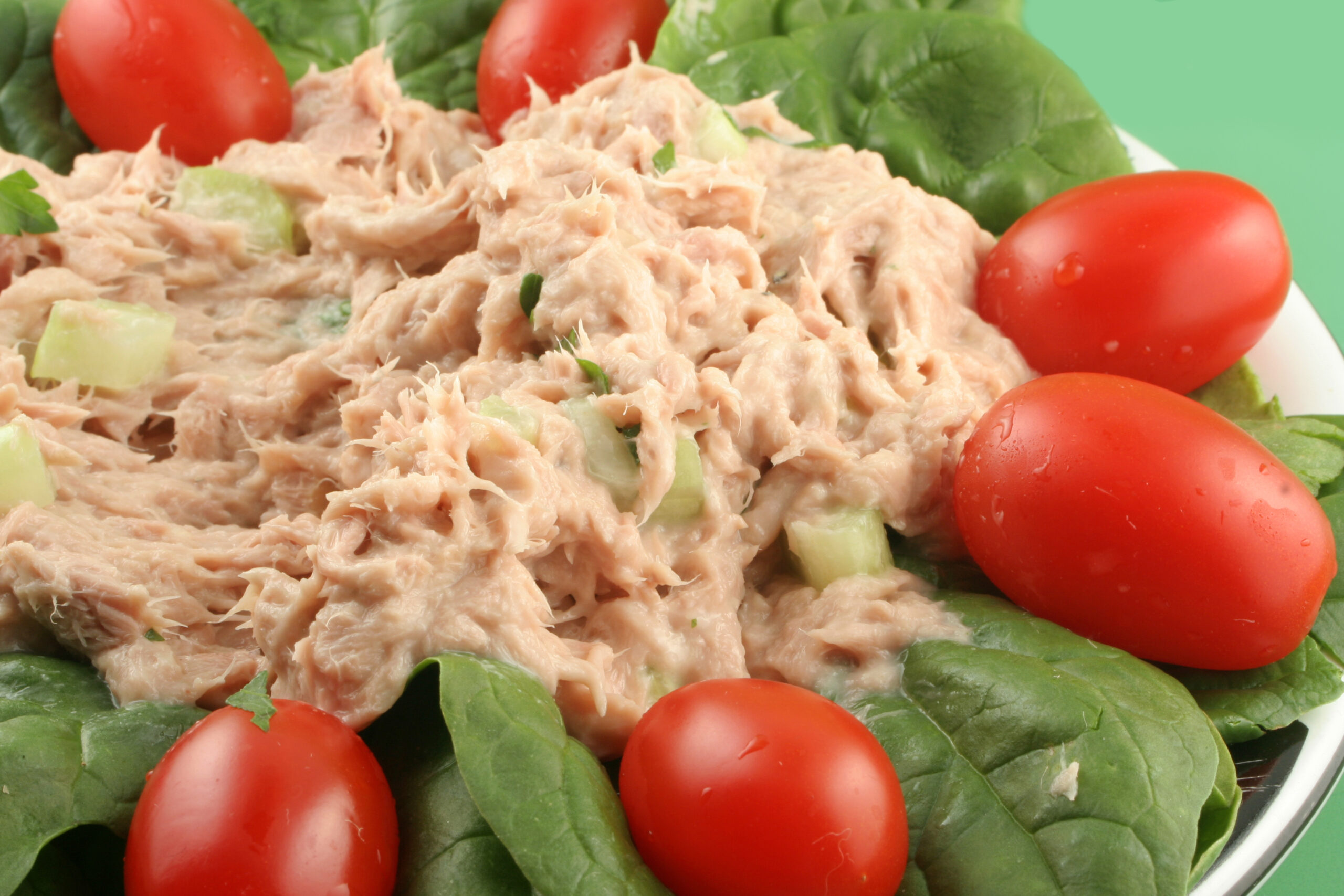 New Jersey ShopRite recalls mislabeled tuna macaroni salad due to undeclared allergen