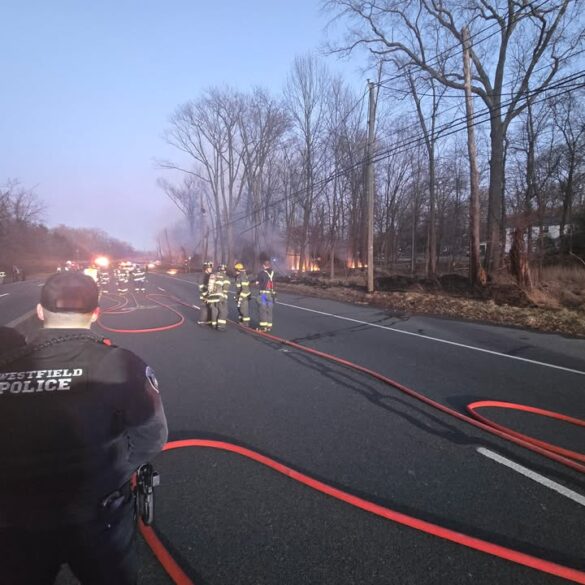 Tree falls on car, electrical wires cause brush fire in westfield - photo licensed by shore news network.