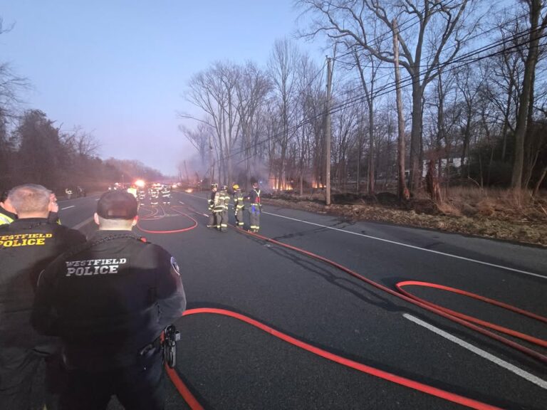 Tree falls on car, electrical wires cause brush fire in westfield - photo licensed by shore news network.