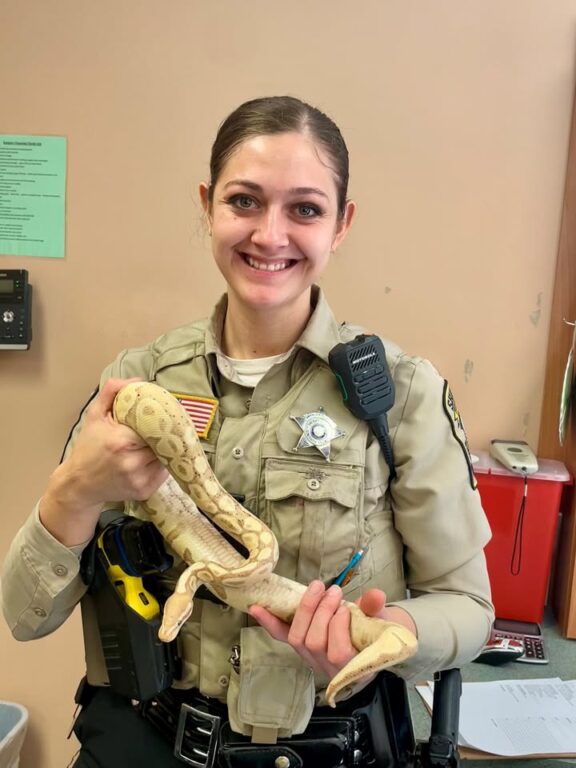 Virginia woman arrested after breaking into home, stabbing pet snake