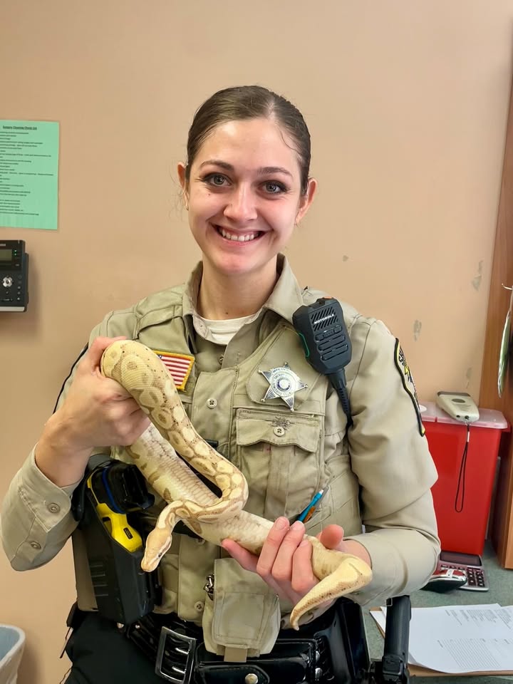 Virginia woman arrested after breaking into home, stabbing pet snake