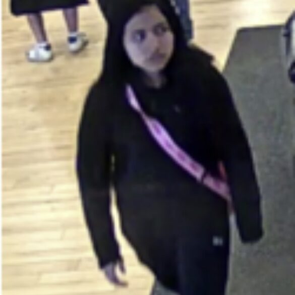 Newark shoplifters steal nearly $850 in nike shoes, - photo licensed by shore news network.