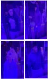 Five suspects wanted in ocean city car egging