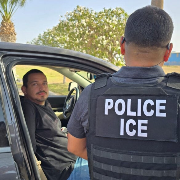 Ice arrests 72 illegal immigrants, including sex offenders and gang members, in south texas sweep - photo licensed by shore news network.