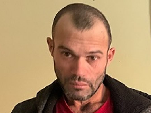 ICE arrests Brazilian national in Massachusetts for violence against family member