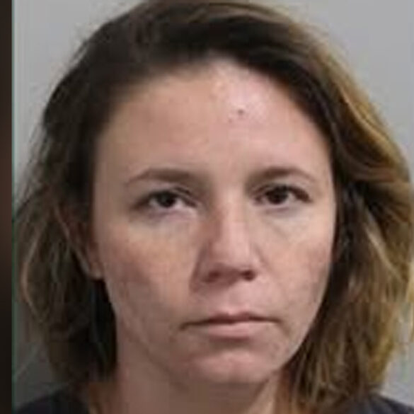 Electricity stealing woman arrested after releasing great dane to attack investigating deputy - photo licensed by shore news network.