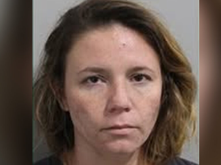 Electricity stealing woman arrested after releasing great dane to attack investigating deputy - photo licensed by shore news network.