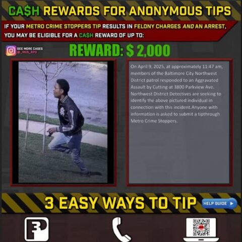 Police release photo of suspect in parkview avenue stabbing investigation - photo licensed by shore news network.