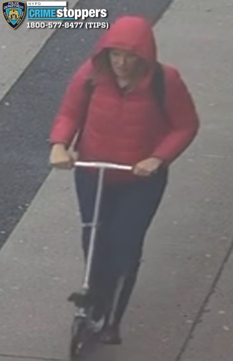 Tesla terrorist charged for swastika attack in Brooklyn