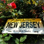 New Jersey License Plate In A Flower Garden. New Jersey the garden state with a license plate in a rose garden