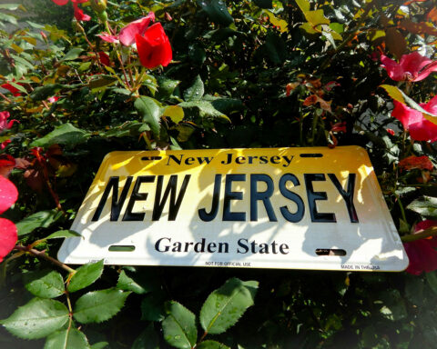 New Jersey License Plate In A Flower Garden. New Jersey the garden state with a license plate in a rose garden