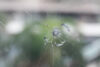 Bullet Hole in Window