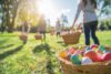 Toms river easter egg hunt this saturday