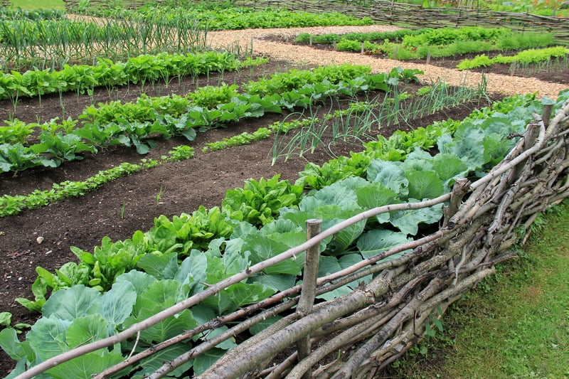 Farm to table restaurants at the Jersey Shore push the limits of creativity and freshness