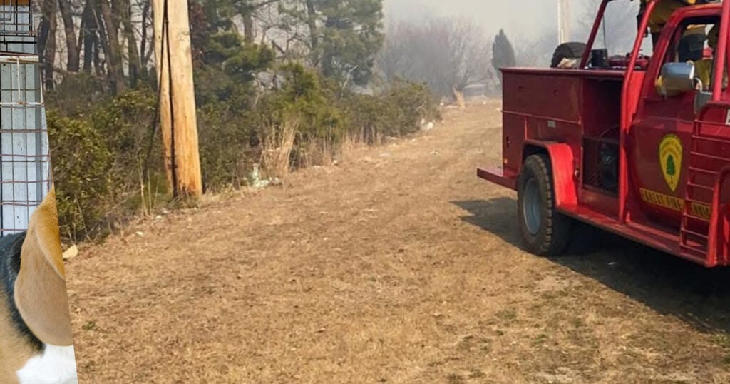 Brush fire erupts near Route 195 in Jackson Township
