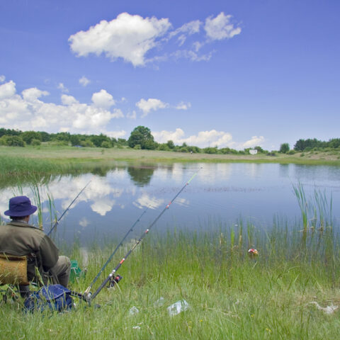 Maryland fisherman snags $50k powerball prize from forgotten ticket - photo licensed by shore news network.