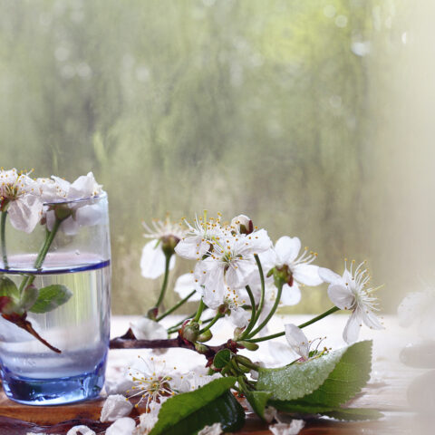 New jersey dems' state haiku goes horribly wrong - photo licensed by shore news network.