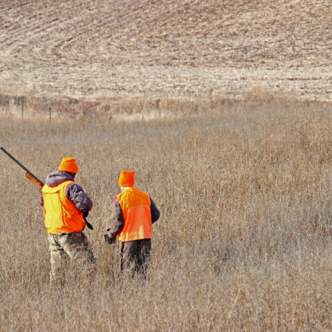 Shorter bear season, more sunday hunts, and guaranteed antlerless tags in new pa hunting rules - photo licensed by shore news network.