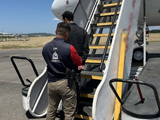 Over one hundred murderers, sex traffickers, and child predators removed by ICE in New York